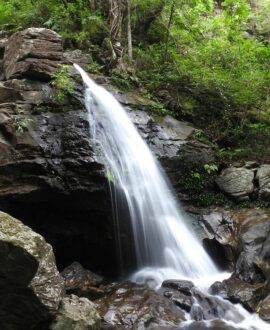 Dutchess Falls / Duchess Falls