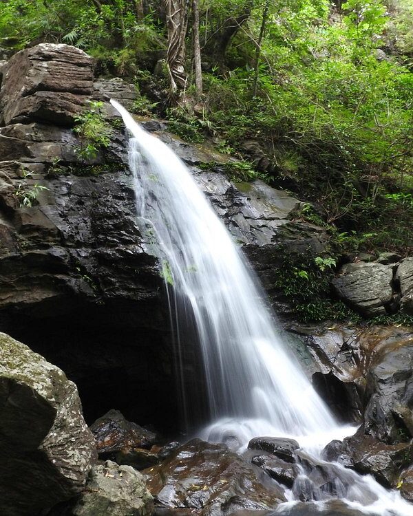 duchess fall pachmarhi